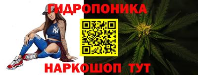 крисы Будённовск